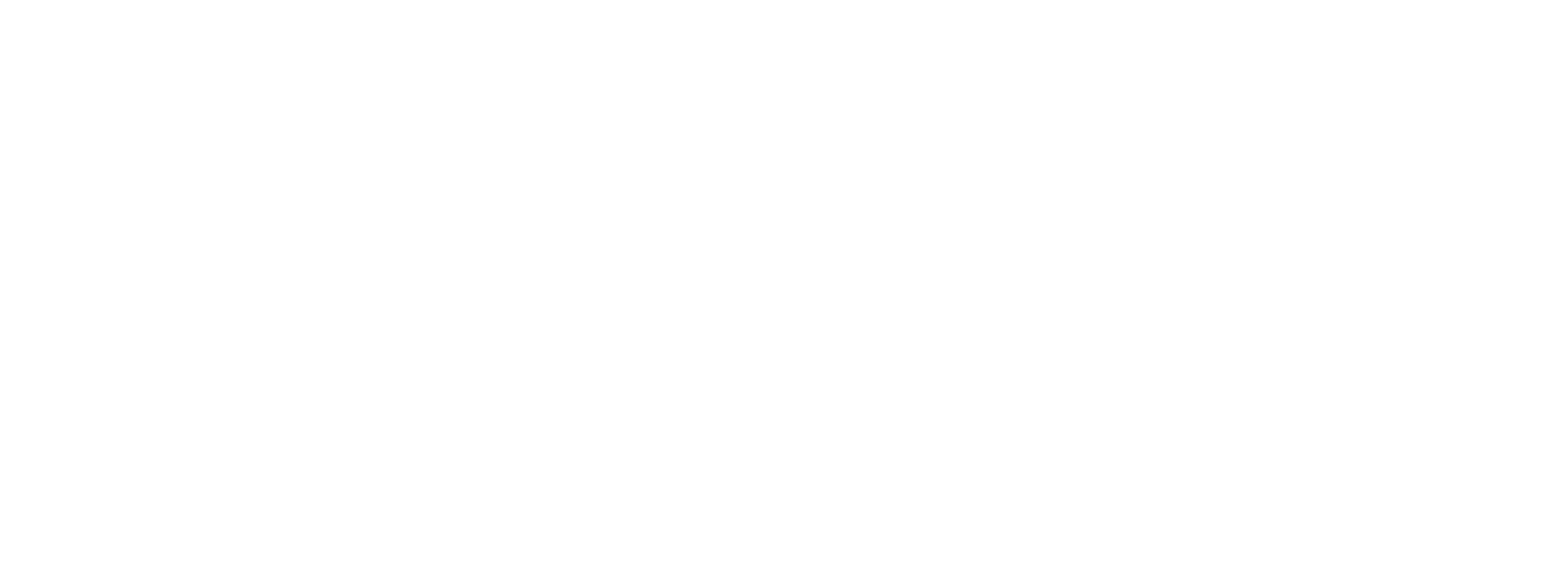 DriveInspekt